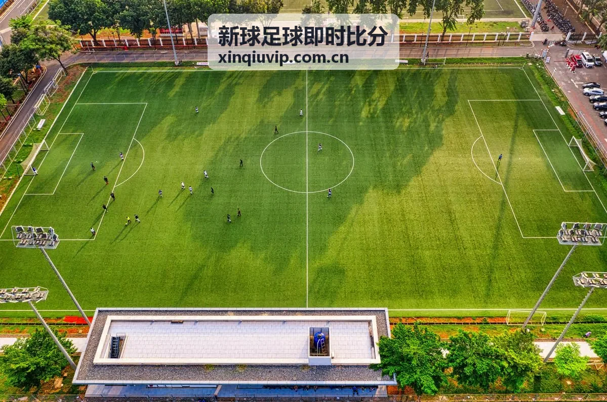 新球足球即时比分 - 篮球赛事分析